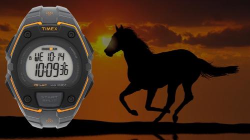 Timex Ironman Classic 30 - 3